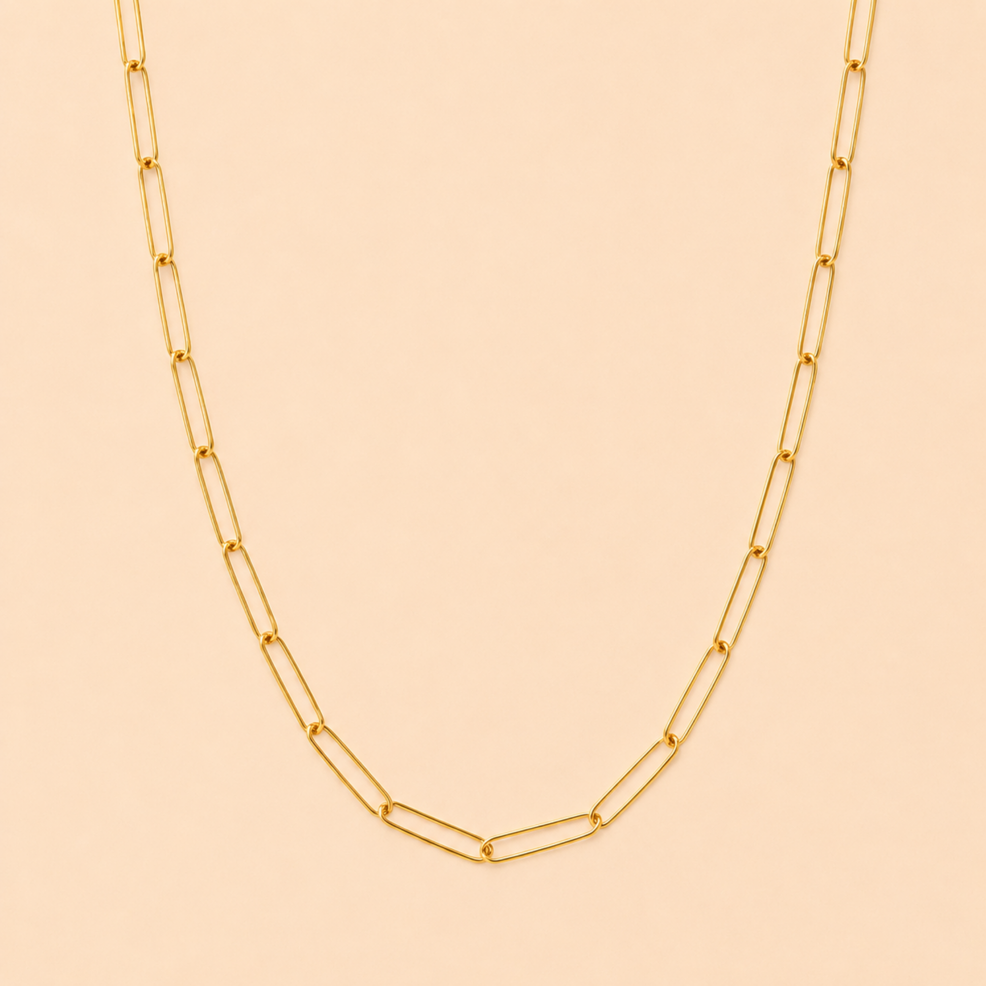 Eleonore Paperclip Necklace