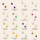 Aimer Birthstone Earrings
